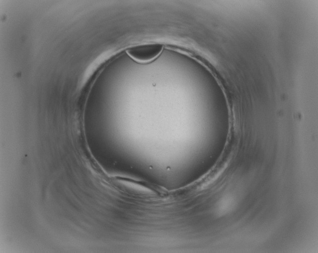 X0000071971501200607282045