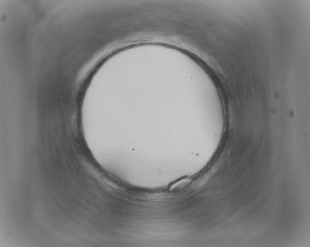 X0000071971502200607282045