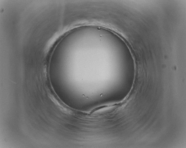 X0000071971503200607282045