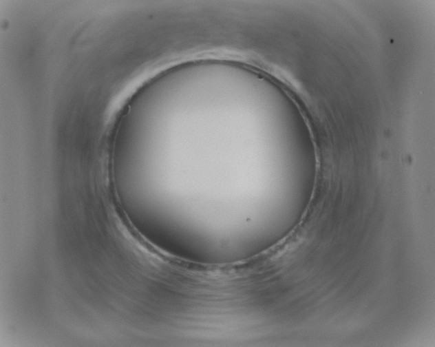 X0000071971504200607282045