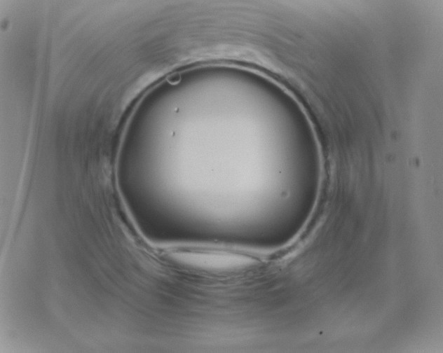 X0000071971505200607282045