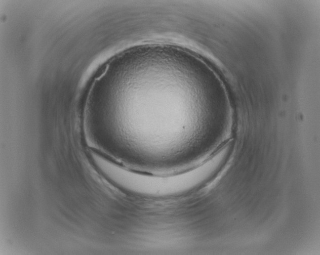 X0000071971506200607282045