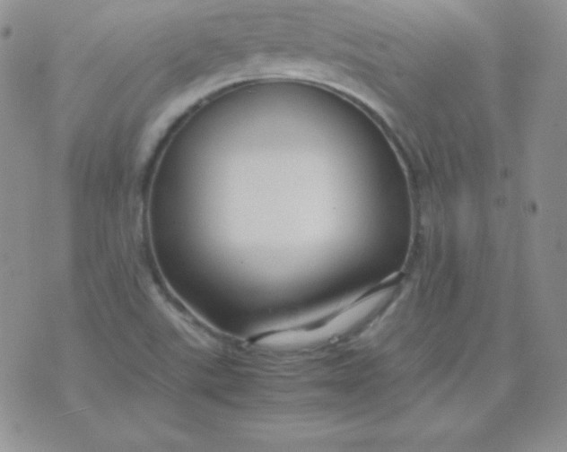 X0000071971507200607282045