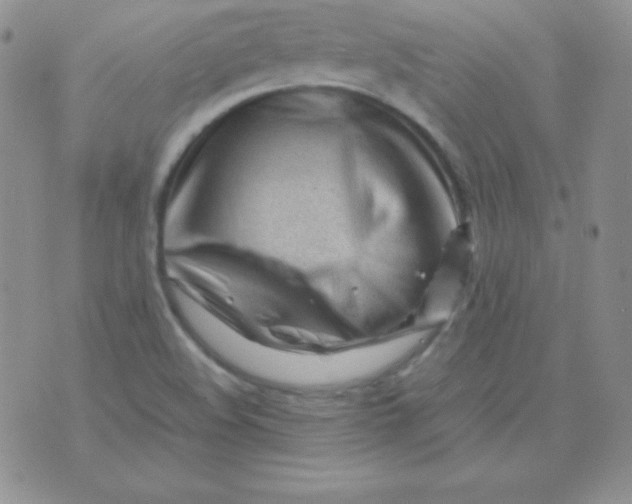 X0000071971508200607282045