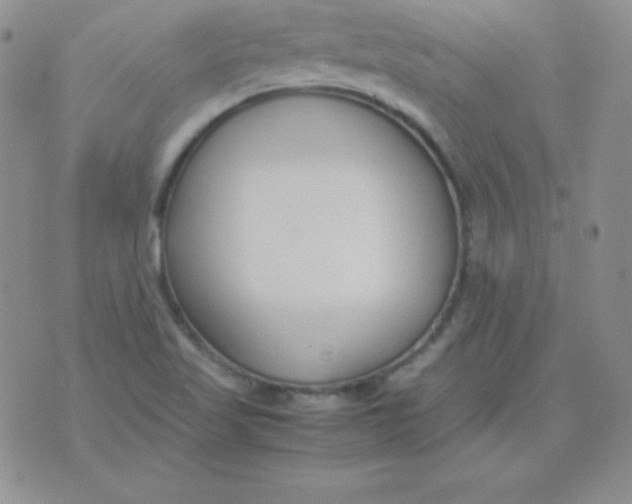 X0000071971509200607282045