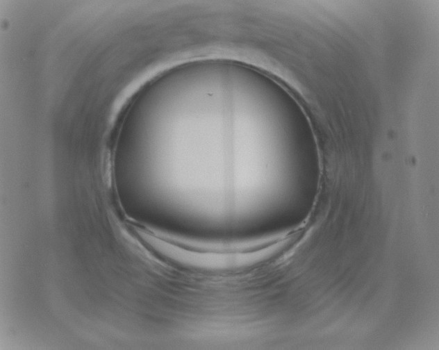 X0000071971510200607282045