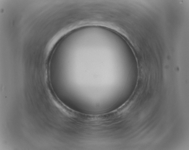 X0000071971511200607282045