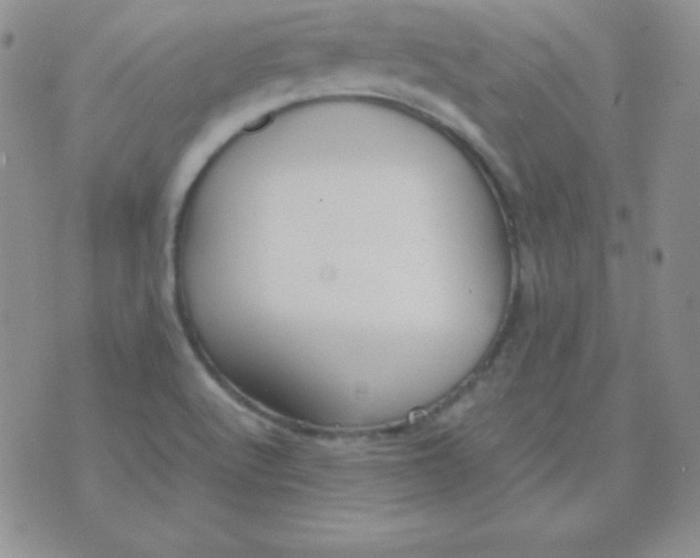 X0000071971512200607282045