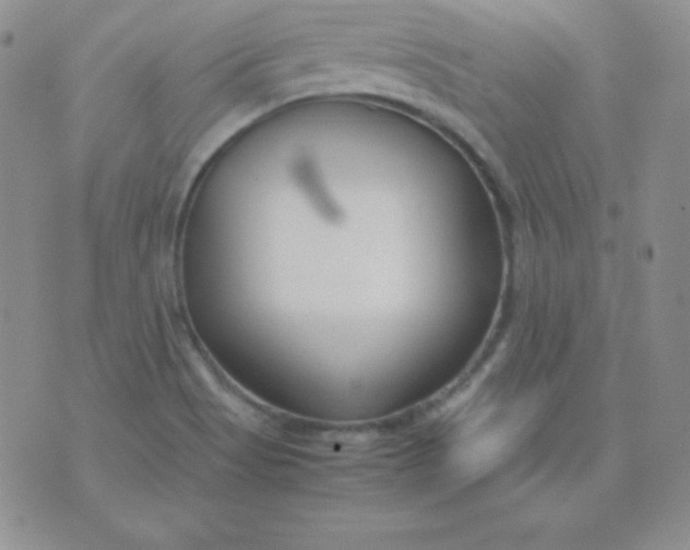 X0000071971513200607282045