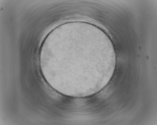 X0000071971514200607282045