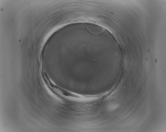 X0000071971515200607282045