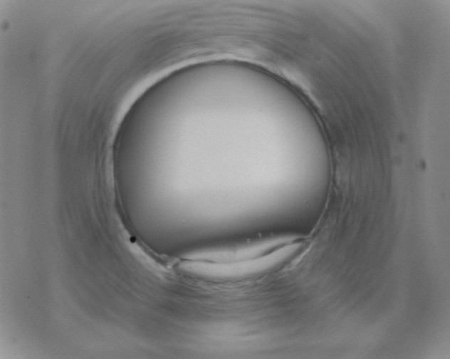 X0000071971516200607282045