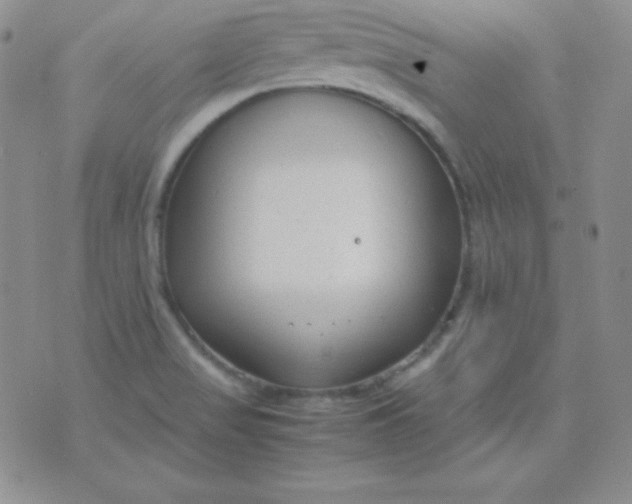 X0000071971517200607282045