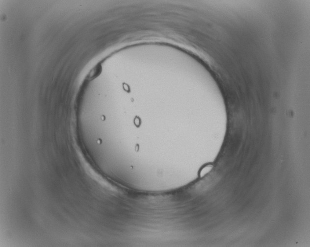 X0000071971518200607282045