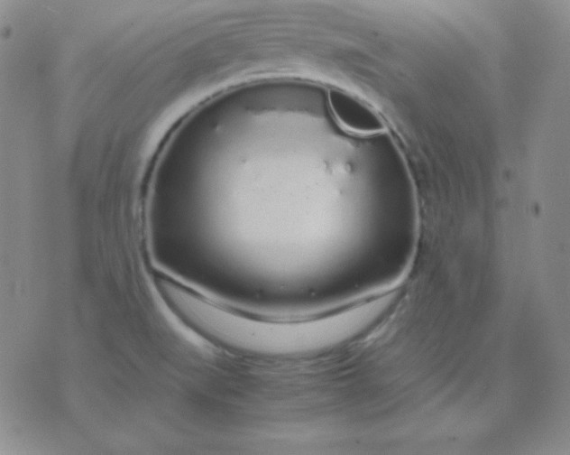 X0000071971519200607282045