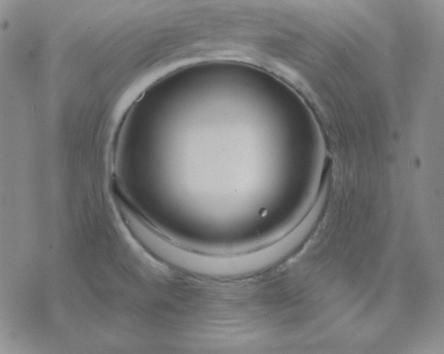 X0000071971520200607282045