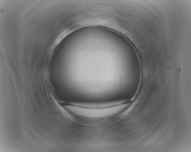 X0000071971521200607282045