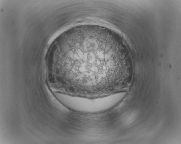 X0000071971522200607282045