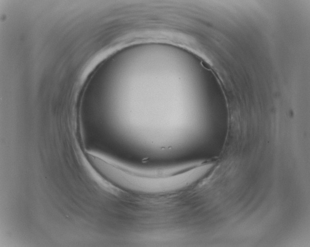 X0000071971523200607282045