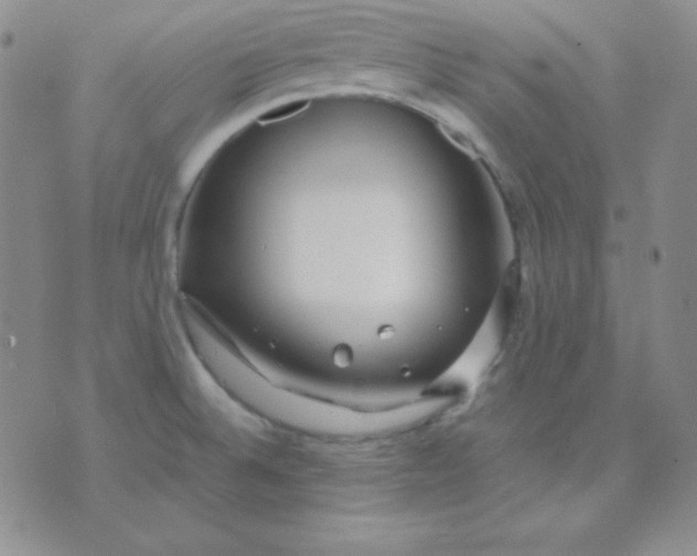 X0000071971524200607282045