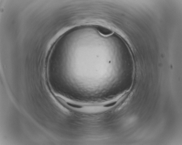 X0000071971525200607282045