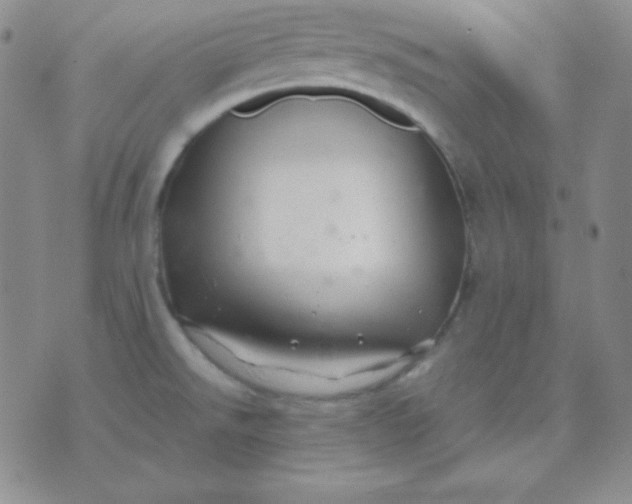 X0000071971526200607282045