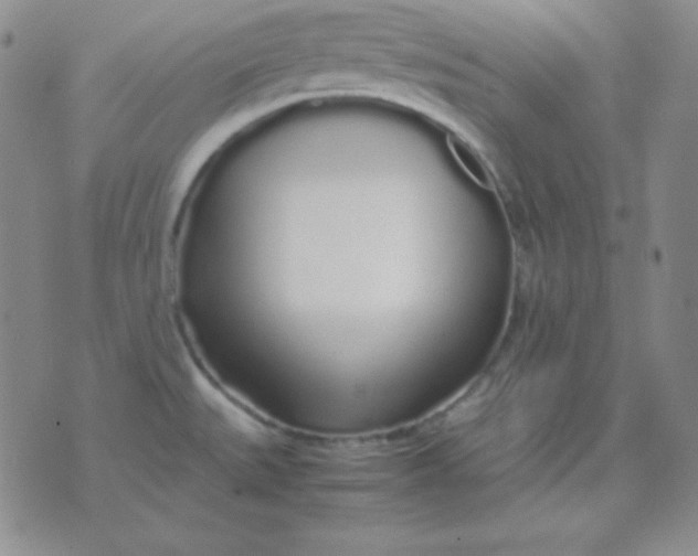 X0000071971527200607282045