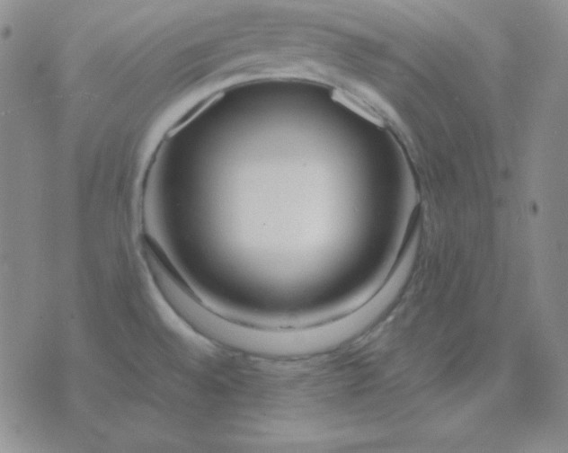 X0000071971528200607282045