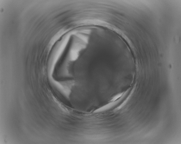 X0000071971529200607282045