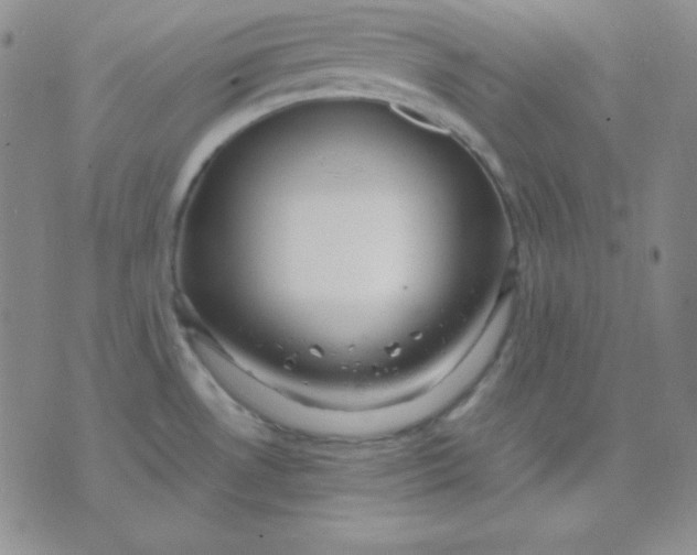 X0000071971530200607282045