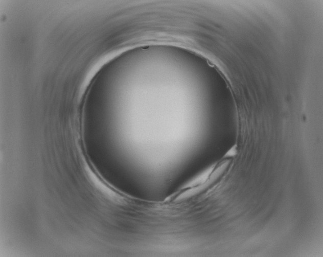 X0000071971531200607282045