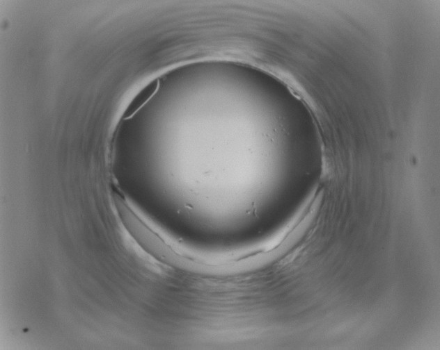 X0000071971532200607282045