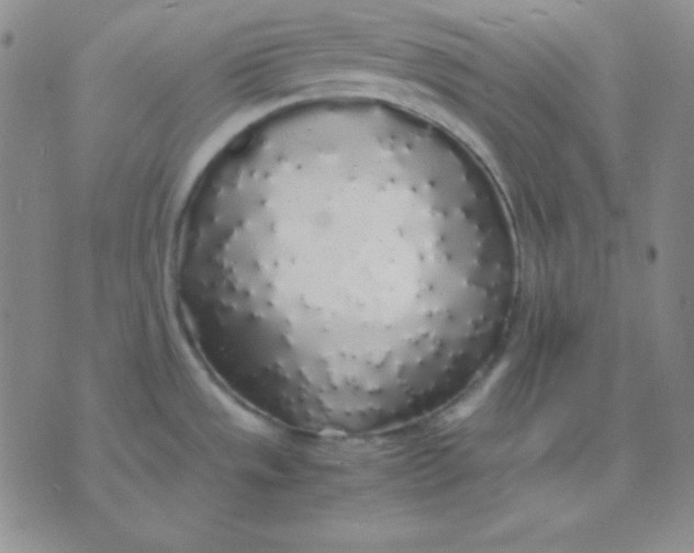 X0000071971533200607282045