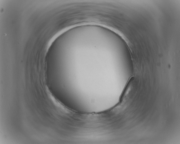 X0000071971534200607282045