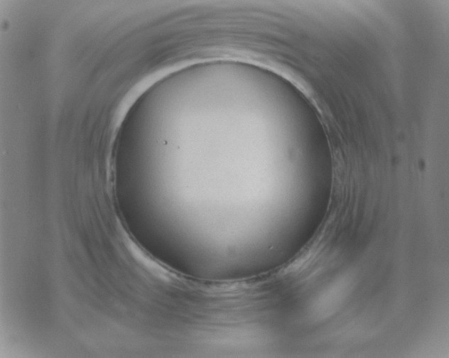 X0000071971535200607282045