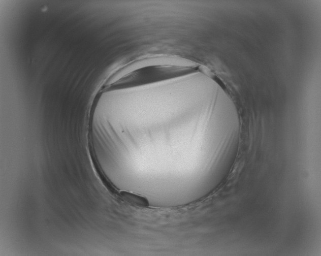 X0000071970003200608041658