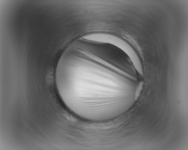 X0000071970017200608041657