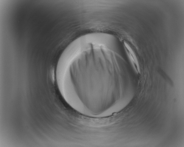 X0000071970027200608041657