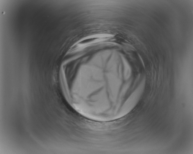 X0000071970035200608041657