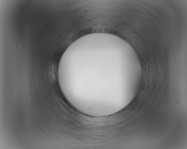 X0000071970038200608041657