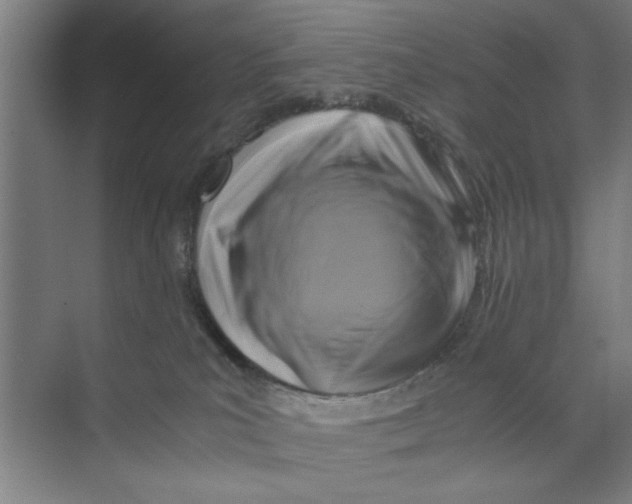 X0000071970039200608041657