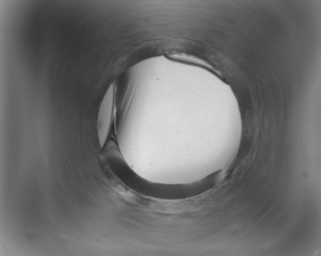 X0000071970041200608041657