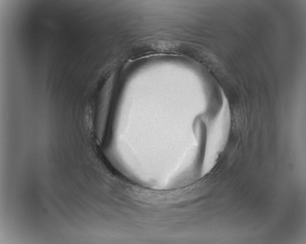 X0000071970043200608041657