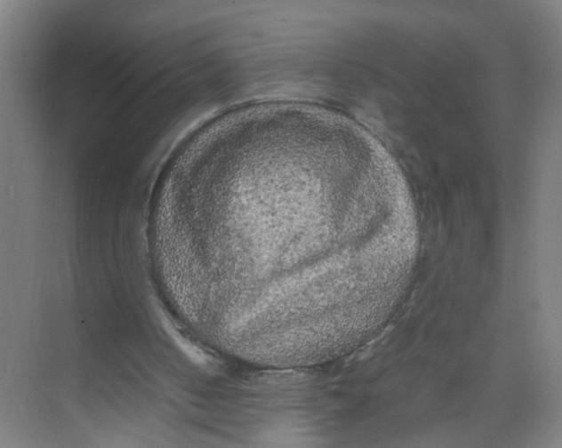 X0000071970050200608041656