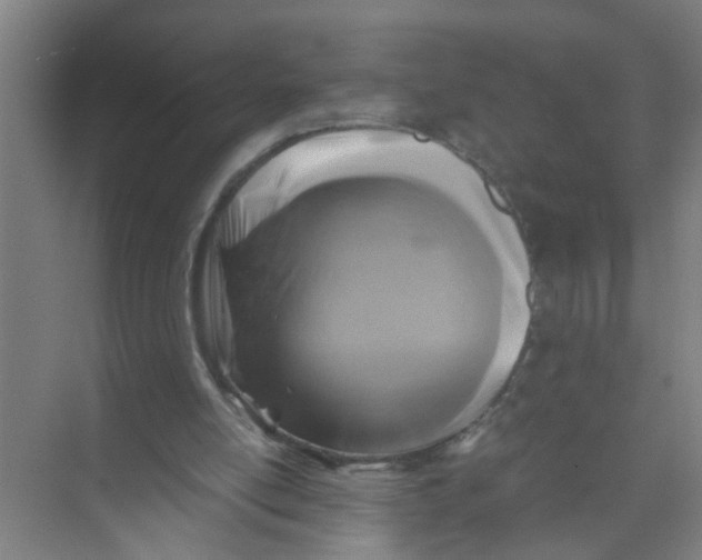 X0000071970054200608041656