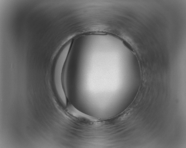 X0000071970060200608041656