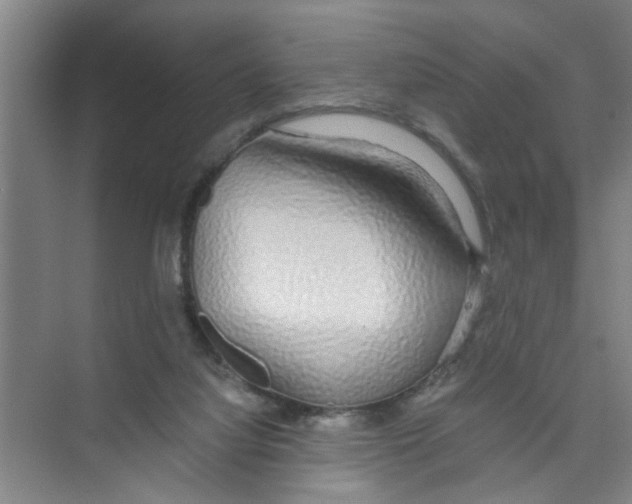 X0000071970068200608041656