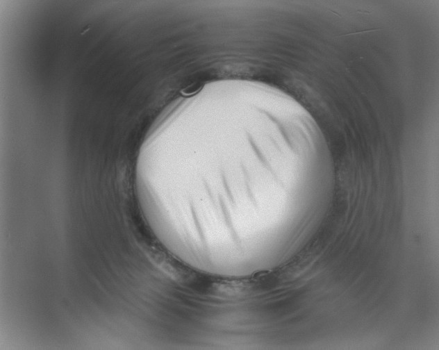 X0000071970079200608041657