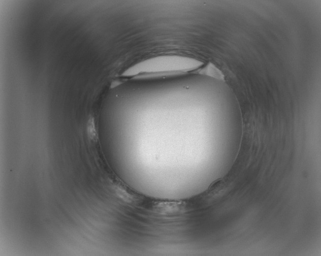 X0000071970089200608041657