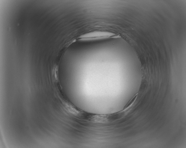 X0000071970094200608041657